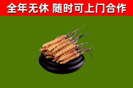 蔡甸区烟酒回收冬虫夏草.jpg